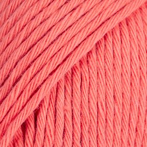 Paris abrikoos uni 01